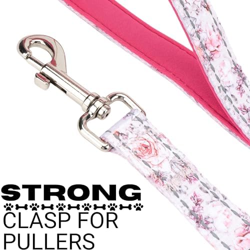 EcoBark Dog Leash, Soft & Reflective Comfort Leash with Padded Handle - Image 2