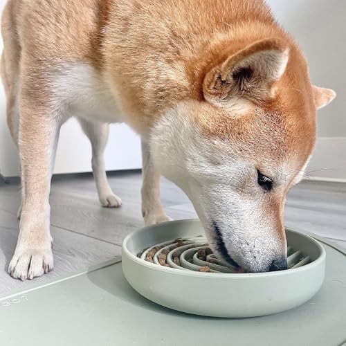 Slow Feeder Dog Bowl - Silicone Dog Bowl, Medium, 7.5" x 1.5" - Sage - Image 2