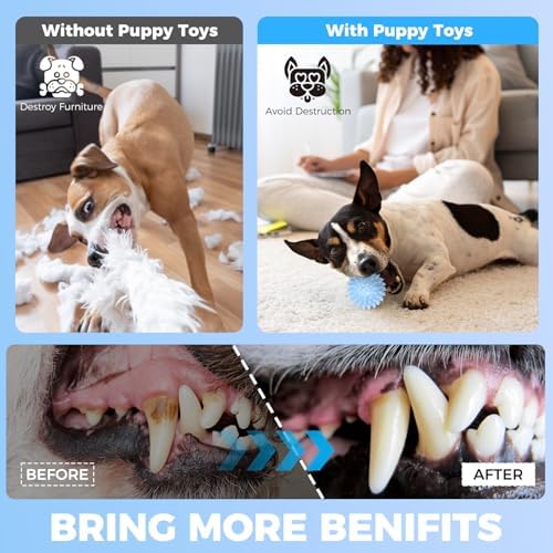 Puppy Toys, 9 Pack Dog Chew Toys for Puppy, Cute Blue Small Dog Toys, Teething Toys for Puppies, Soft Durable Interactive Chew Toy for Small Dogs - Image 4