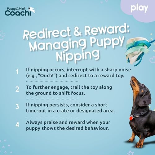 Coachi Puppy & Mini Tuggi Spider - Dog Toy for Tug of War & Play - Image 5