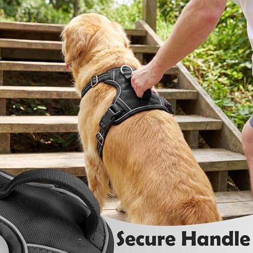 Funfox Dog Harness for X-Large Dog No Pull, Adjustable Pet Vest Harness, Vertical Handle Easy Control with 2 Leash Clips, Soft Material, Reflective Safe Night Walking for X-Large Size, Black, XL - Image 4