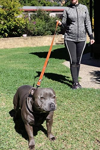 Primal Pet Gear Dog Leash 6ft Long,Traffic Padded Two Handle,Heavy Duty,Reflective Double Handles Lead for Control Safety Training,Leashes for Large Dogs or Medium Dogs,Dual Handles Leads(Orange) - Image 5
