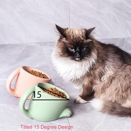 Raised Cat Bowls with Handle Tilted Cat Dish Ceramic Pet Food Water Bowl for Indoor Outdoor Kitten Small Dogs Puppy Pink - Image 6