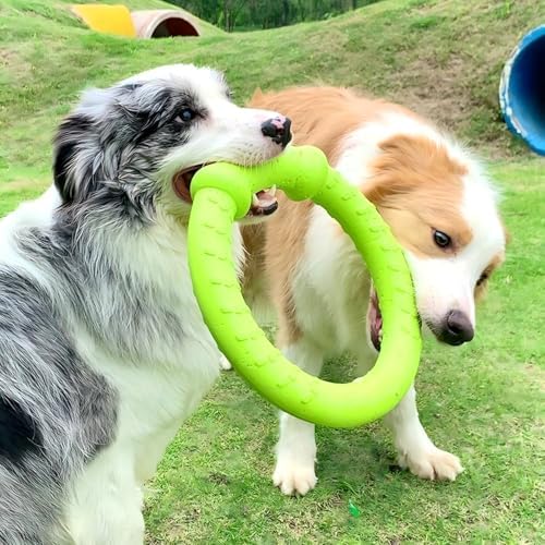 LaRoo Dog Ring Toy, Durable Soft Flying Disc, Thickened, Floatable Pool Toy for Medium Large Dogs, Interactive Tug of War & Fetch Toy for Outdoor Training, Teeth Cleaning & Exercise (Green-11.8inch) - Image 3