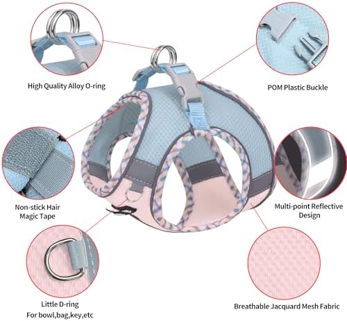 AIITLE Teacup Puppy Harness and Leash Set Escape-Proof, Blue-Pink S - Image 4