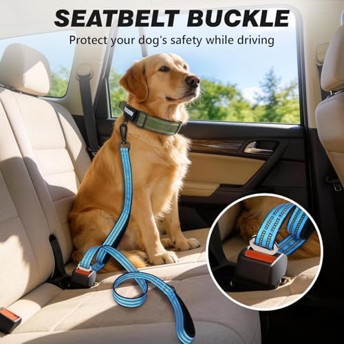 Double Handle Dog Leash with Poop Bag Holder and Car Seat Belt Buckle - Image 4