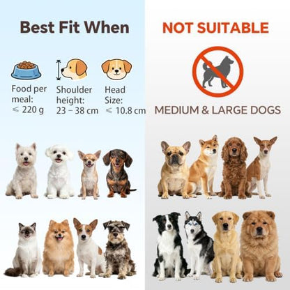 White Small Ceramic Tilted Elevated Cat Dog Bowl Raised Cat Food Water Bowl Dish Pet Comfort Feeding Bowls with Gold Iron Stand - Image 3