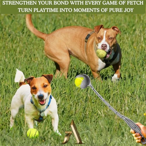 AnNafi Speed Arm Cricket Practice Launcher & Ball Pickup | Dog Thrower | Fetch & Fold Set | Cricket Equipment (With Tennis Ball, White) - Image 4