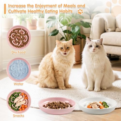 Cat Slow Feeder Bowl Set,2 Pcs Pastel Series Cat Plate for Dry and Wet Food - Image 5