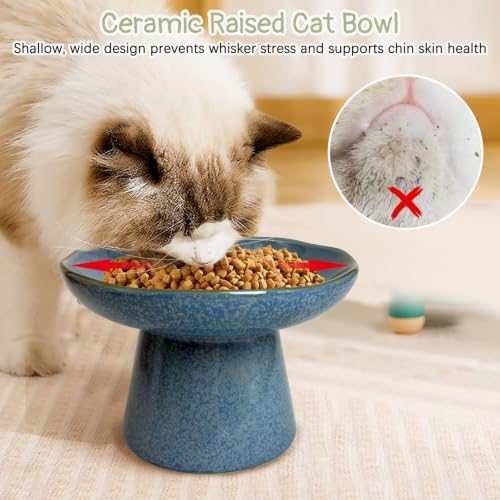 VCEPJH Elevated Cat Bowls 6.1in Shallow Cat Food Plate Pack of 2 Ceramic Raised Cats Dish Flat Anti Whisker Fatigue Wide Pet Food & Water Feeder for Indoor Kitty Kitten (Blue) - Image 5
