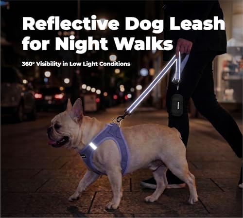 Best Pet Supplies Voyager Nylon Dog Leash - Lavender, Medium - Image 4