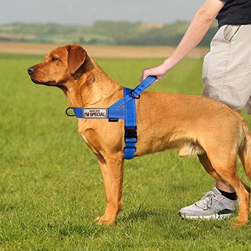 Annchwool No Pull Dog Harness with Soft Padded Handle,Reflective Strip Escape Proof and Quick Fit to Adjust Dog Harness,Easy for Training Walking for Small & Medium and Large Dogs(Blue,S) - Image 5
