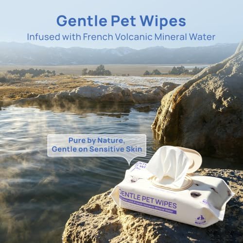 HICC PET Dog Wipes for Dogs & Cats, French Mineral Water, 440 Count - Image 2