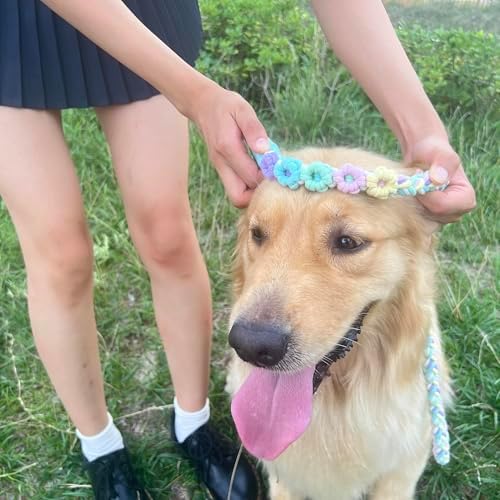 5FT Braided Cotton Rope Leash for Small, Medium and Large Dogs, Rainbow Color - Image 3