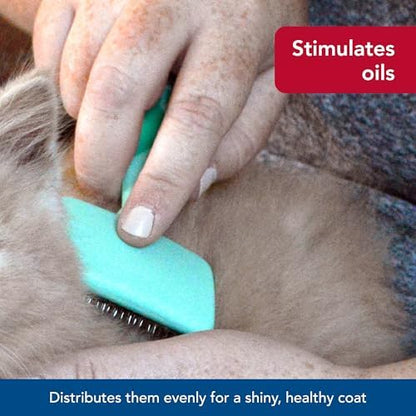 Coastal Pet Li'l Pals - Kitten Slicker Brush with Coated Tips - Image 6