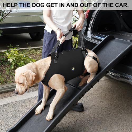 Coodeo Dog Lift Harness, Pet Support & Rehabilitation Sling Lift Adjustable Padded Breathable Straps for Old, Disabled, Joint Injuries, Arthritis, Loss of Stability Dogs Walk (Black, L) - Image 5