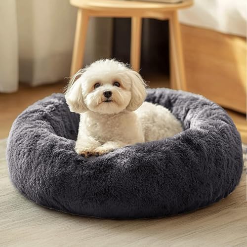 JOLLYVOGUE Dog & Cat Bed, Calming Anti-Anxiety Pet Bed for Small Dogs, Fluffy Donut Cushion for Small and Medium Pets (20") by JOLLYVOGUE