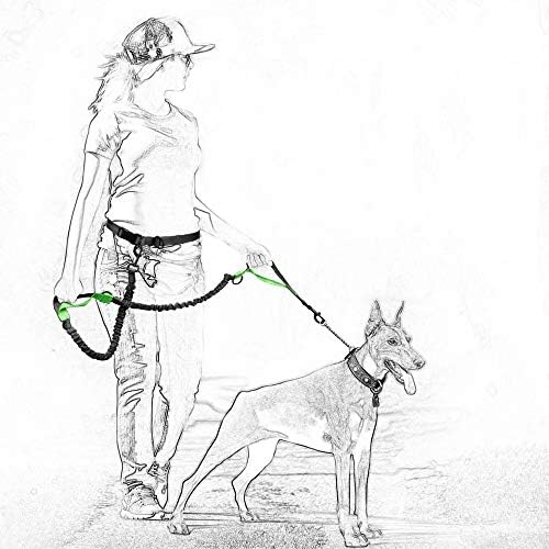 Mile High Life Hands Free Leash, Waist Leash for Dog Running Training and Jogging, Adjustable Belt with Double Padded Handle, Reflective Bungee for Medium Large Dogs (Blue, 7FT) - Image 4
