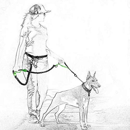Mile High Life Hands Free Leash, Waist Leash for Dog Running Training and Jogging, Adjustable Belt with Double Padded Handle, Reflective Bungee for Medium Large Dogs (Blue, 7FT) - Image 4