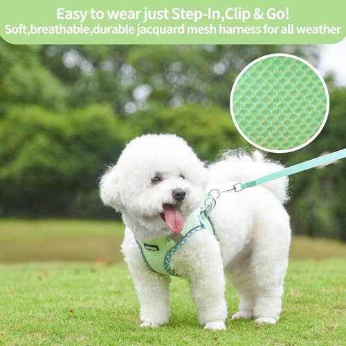 AIITLE Medium Dog Harness and Leash Set with Breathable Mesh, Sage M - Image 3