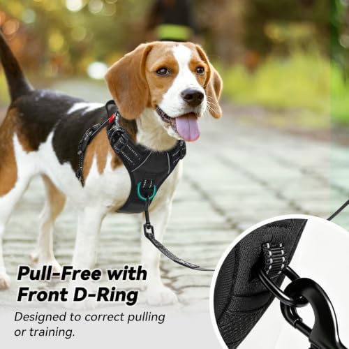 PoyPet No Pull Dog Harness Small with Front Clip & Neck Release Buckle - Image 3