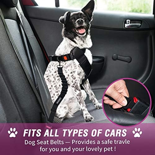 COOYOO Dog Seat Belt,3 Piece Set Retractable Dog Car Adjustable Seatbelts for Vehicle Nylon Pet Safety Heavy Duty & Elastic & Durable Car Harness for Dogs - Image 2