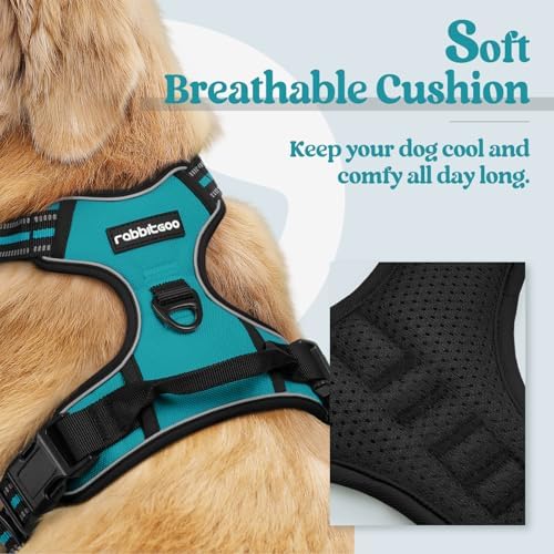 rabbitgoo Dog Harness, No Pull Medium Sized with 2 Leash Clips, Pet Vest - Image 2