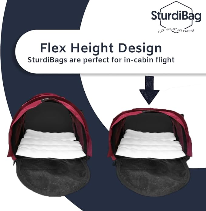 SturdiBag XL Pet Travel Carrier: Flexible Height for Cat and Dog Soft Sided with Safety Clips and Seatbelt Straps | Smoke, 20" x 16" x 12" (PN: SB3-PRO-SM)