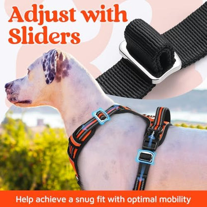 rabbitgoo Dog Harness Medium Sized, No Pull 3 Buckles Easy On & Off - Image 5