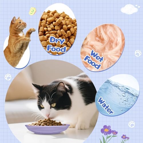 [8 Pack] Ceramic Cat Food Bowl, Colorful Cat Bowls Whisker-Friendly, 5.9" Shallow Wide Kitten Plates, Easy to Clean Indoor Feeding Dishes - Image 3