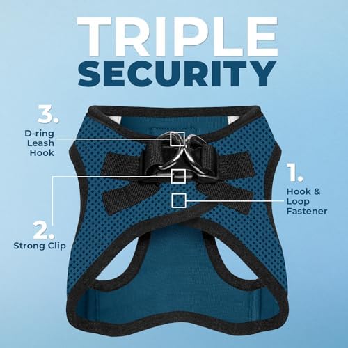 Best Pet Supplies Voyager Step-in Air All Weather Mesh Harness and Reflective Dog 5ft Leash Combo with Neoprene Handle, for Small, Medium and Large Breed Puppies - Blue/Black Trim, Large - Image 2