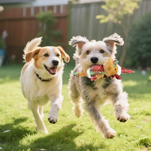 Christmas Dog Toy Squeaky Interactive Dog Toys Indoor Outdoor Play - Image 5