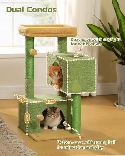 Small Cat Tree for Kittens, 32 in Cat Tower with 2 Cozy Condos - Image 4
