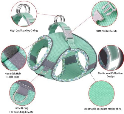AIITLE Dog Harness and Leash Set with Breathable Mesh, Turquoise M - Image 2