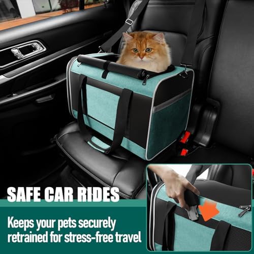 GAPZER Large Cat Carrier Soft, Collapsible Travel Pet Carry Bag, Small Dogs - Image 5
