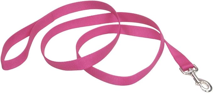 Coastal Pet Single-Ply Dog Leash - Sturdy Pet Leash - Comfortable & Stylish - Resists Fraying - Vibrant & Fade-Resistant Color - Neon Pink, 3/4" x 6'