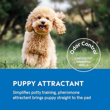 Puppy Pads Pet Pee Pads for Dogs & Puppy Training [100-COUNT] Potty Pads for Dogs 22" x 22" Leak-Proof Dog Pee Pads - Quick-Dry Surface - Heavy Duty Absorbent Disposable Dog Wee Pad Bulk Pack - Image 6