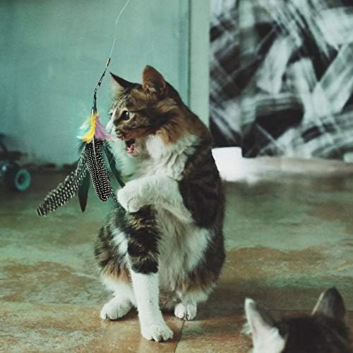 Handmade Natural Feather Cat Toy Dah Bird Refills - Interactive Cat and Kitten Toy - 6 Pack - Image 5