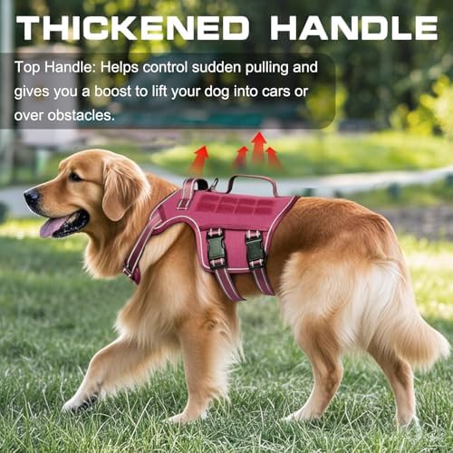Dog Harness Medium Sized Dog, No Pull Dog Vest with Molle System - Image 2