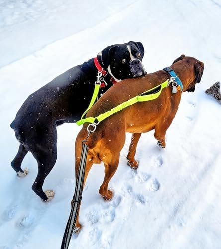 Dual Dog Leash Coupler Double Control Padded Handle for 2 Large Dogs - Image 5