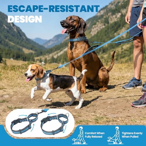 VIVAGLORY Double Handle Dog Leash Twingrip, 5ft x 1in, M2, Blue Grey - Image 2