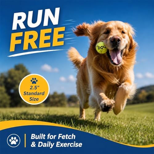 INSUM Squeaky Tennis Balls for Dogs, 2.5 Inch, 20 Pack Squeaky Dog Balls - Image 2