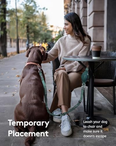 MIDOG Multifunctional Dog Leash Hands Free for Large Dogs - Adjustable Waist Leash with Zipper Pounch& Bungee Cord for Jogging/Running/Walking(4-7FT,Green) - Image 4
