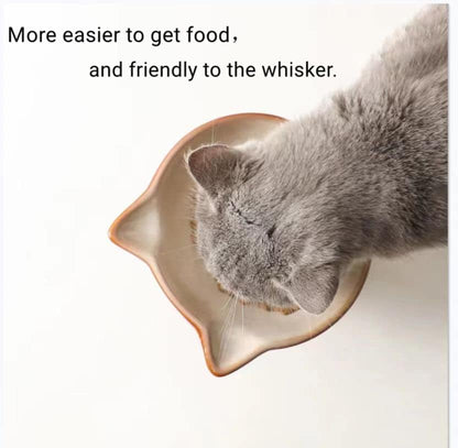 Nihow Elevated Cat Bowls,6 Inch Ceramic Raised Cat Food Bowl for Feeding - Image 6