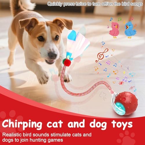 Interactive Cat Toys Smart Ball for Cats & Dogs! Now with 2 Rapid Tails. Features: 360°Auto-Rolling, Motion Activation& Bird Sounds. Perfect for Indoor Pet Exercise & Fun. (Blue) - Image 6