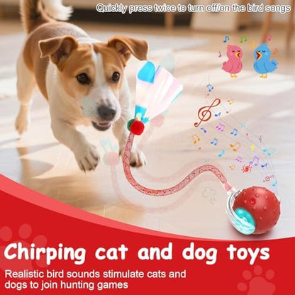 Interactive Cat Toys Smart Ball for Cats & Dogs! Now with 2 Rapid Tails. Features: 360°Auto-Rolling, Motion Activation& Bird Sounds. Perfect for Indoor Pet Exercise & Fun. (Blue) - Image 6