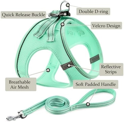 Dog Harness with Leash Set, Step-in Adjustable Puppy Pet Vest, Green XL - Image 2