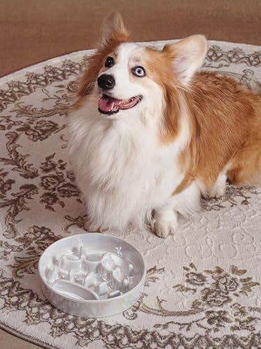 LE TAUCI Dog Bowls Slow Feeder Ceramic, 1.5 Cup Slow Feeding Bowl for Small and Medium Breed, Puzzle Dog Food Bowl for Fast Eater, Crown Silver - Image 2