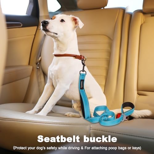 6 Foot Blue Dog Leashes for Large Medium and Small Breed Dogs That Pull,Reflective Nylon Heavy Duty Dog Leash with 2 Comfortable Padded Traffic Handles and Car Seat Belt for Walking and Training - Image 3