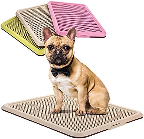 BANU Puppy Pee Pad Holder Indoor Outdoor Dog Potty Toilet Training Tray 20" x 16" for Small and Medium Dogs (Ivory) by Banu